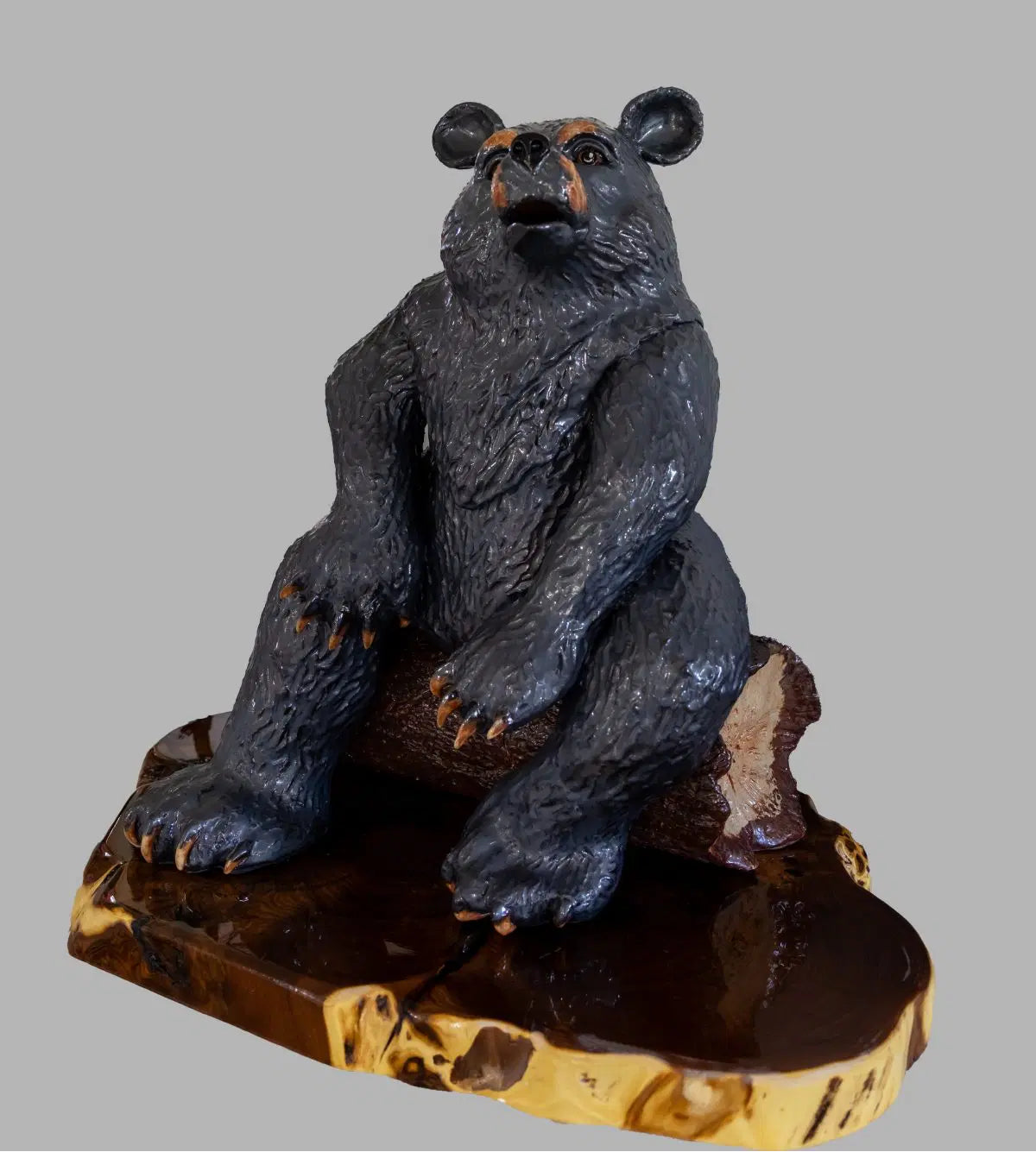 Bear on a Break