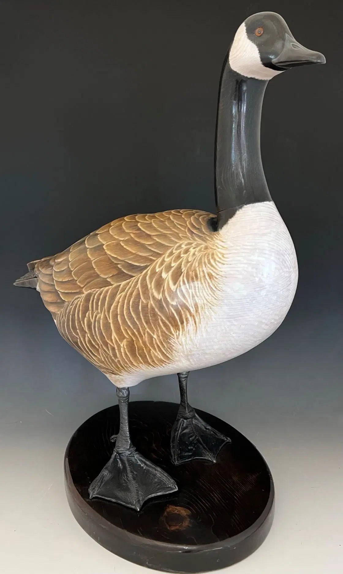 Canada Goose