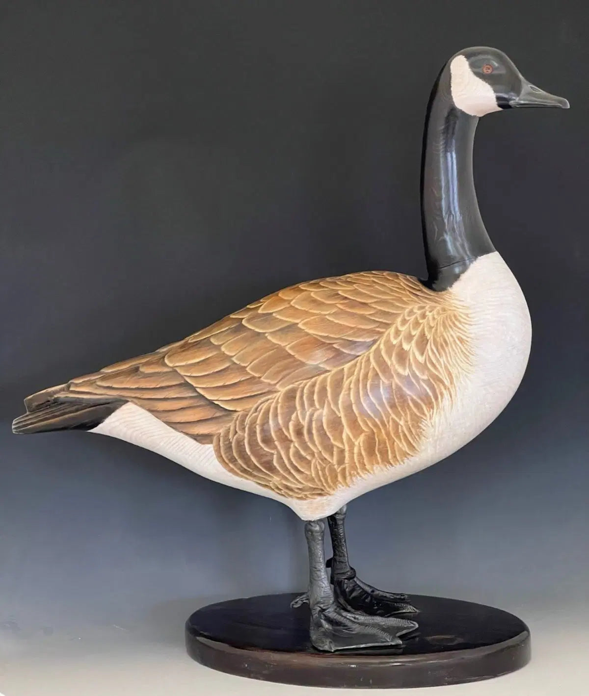 Canada Goose