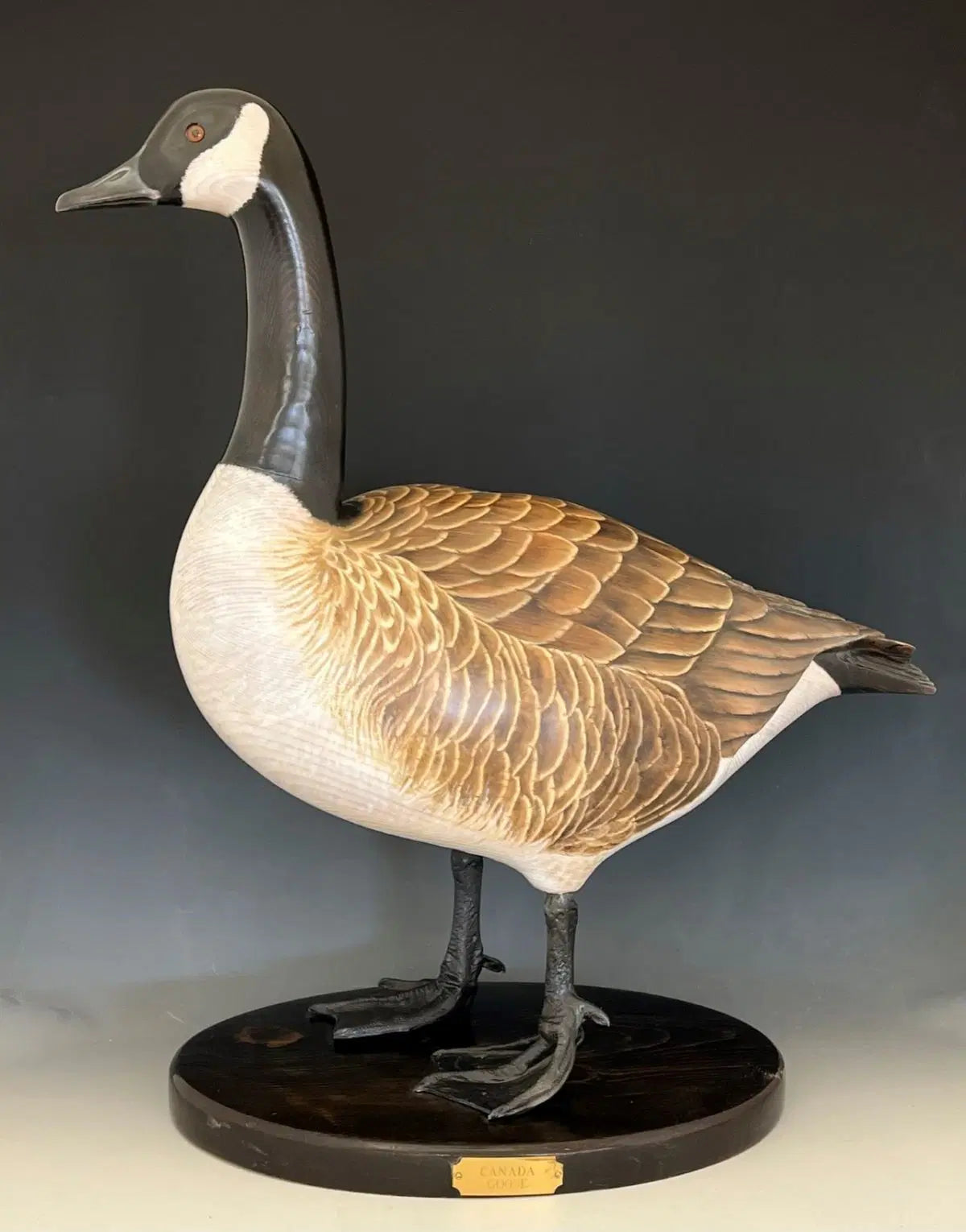 Canada Goose
