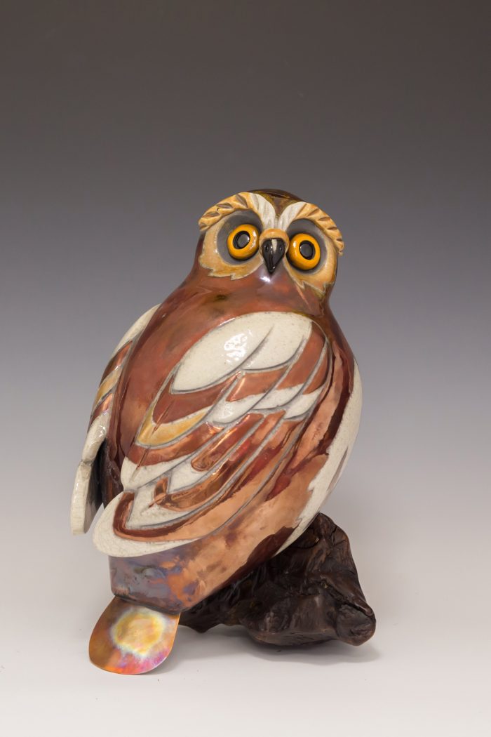 Saw Whet Owl Raku